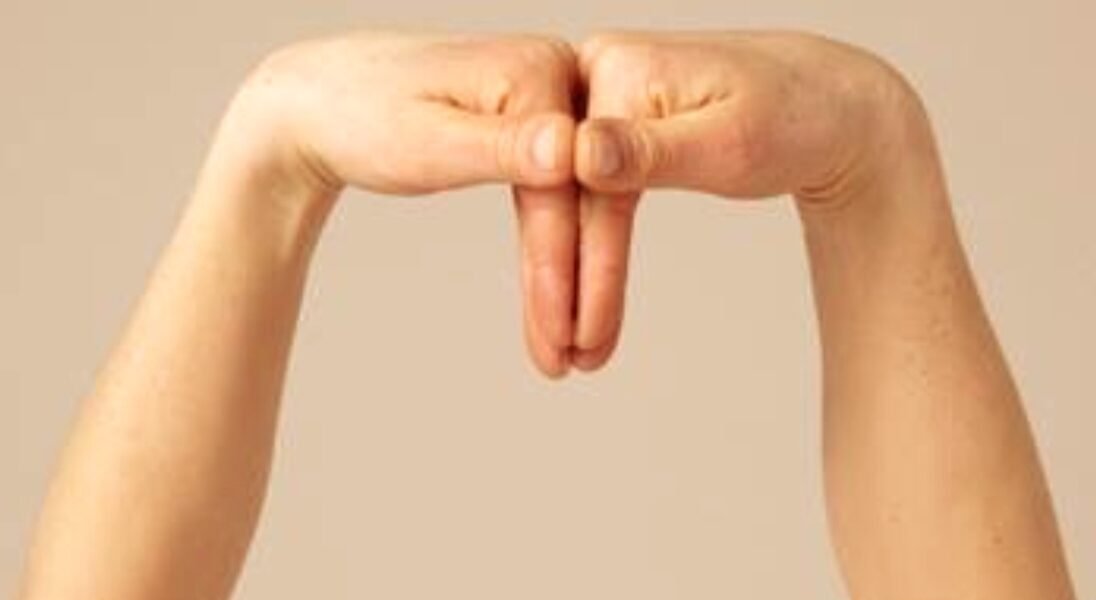 Gayatri ki 10th Adhomukh Hast Mudra