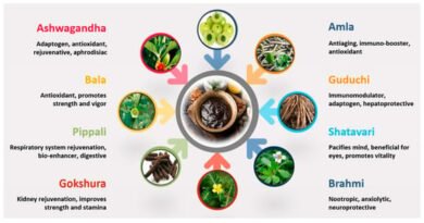 WHO पारंपरिक चिकित्सा रणनीति 2025: ‘संभावित खजाना’ और विज्ञान (Traditional Medicine)