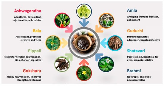 WHO पारंपरिक चिकित्सा रणनीति 2025: ‘संभावित खजाना’ और विज्ञान (Traditional Medicine)