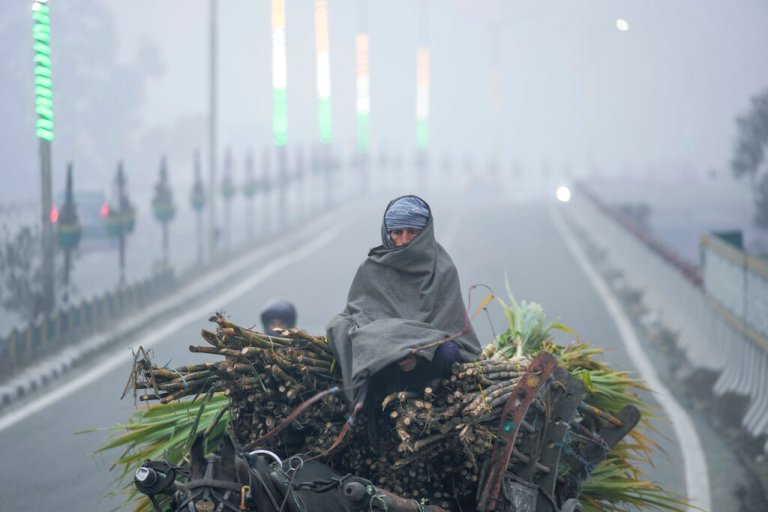 Winter Fog and Cold Wave in North India 2025