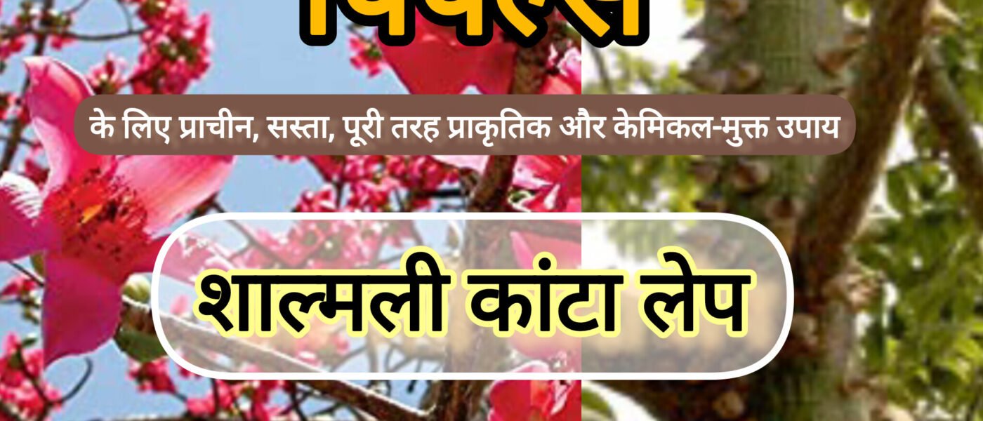 पिंपल्स का पेड़: सेमल (शाल्मली) के कांटे से मुंहासों का 100% प्राकृतिक इलाज