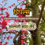 पिंपल्स का पेड़: सेमल (शाल्मली) के कांटे से मुंहासों का 100% प्राकृतिक इलाज