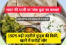 इकोनॉमिक सर्वे 2026: भारत में 150% बढ़ी अल्ट्रा-प्रोसेस्ड फूड की बिक्री | Health Alert