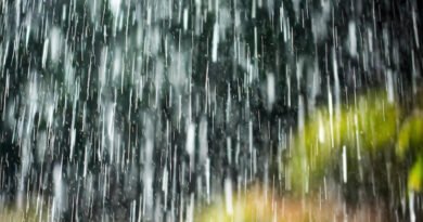 IMD अलर्ट: 29-31 जनवरी तक भारी बारिश और बर्फबारी की चेतावनी | Rain Alert