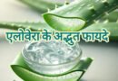 एलोवेरा के 3 जादुई फायदे: जलने, झाइयों और पाचन का अचूक इलाज