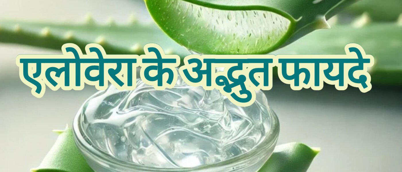 एलोवेरा के 3 जादुई फायदे: जलने, झाइयों और पाचन का अचूक इलाज