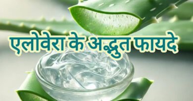 एलोवेरा के 3 जादुई फायदे: जलने, झाइयों और पाचन का अचूक इलाज