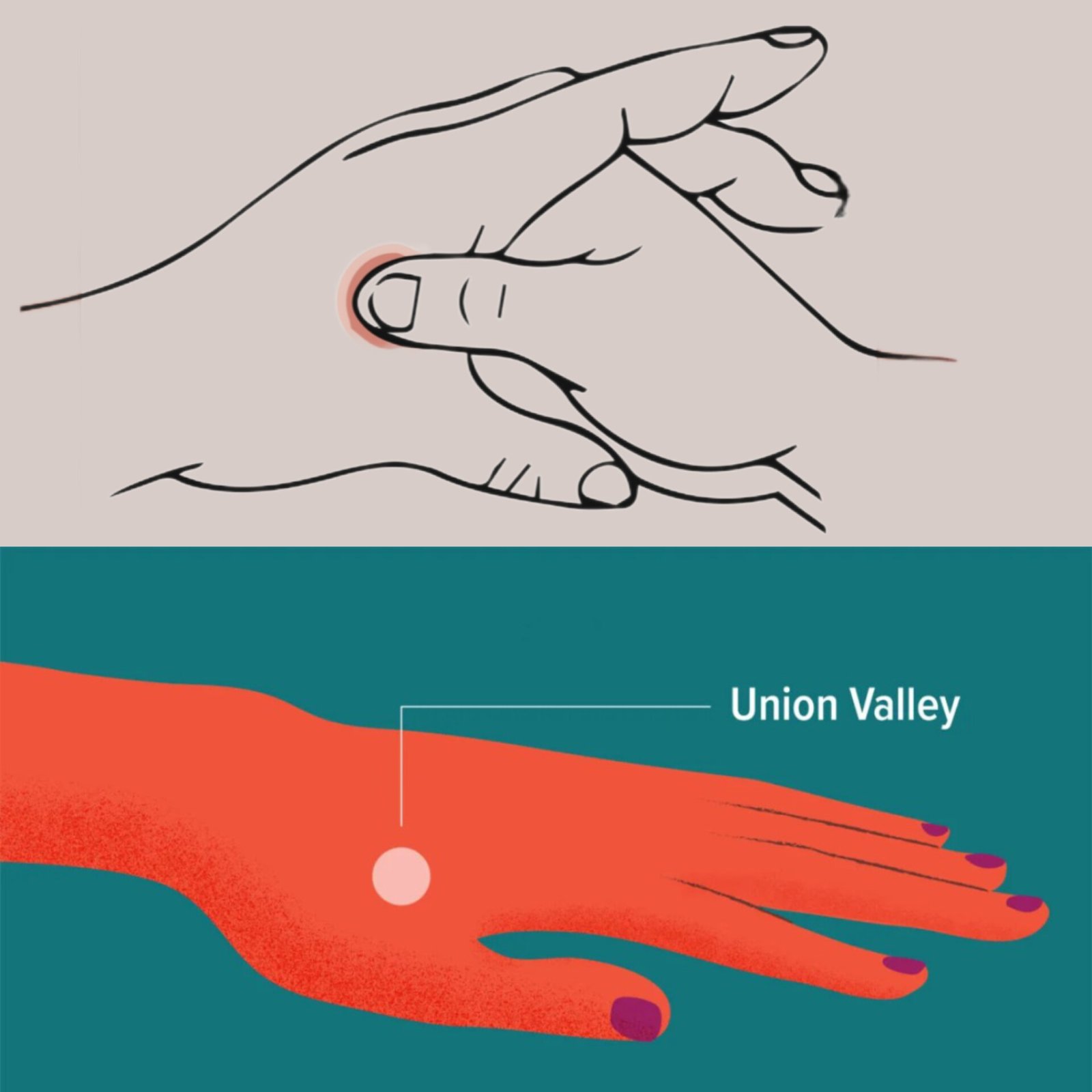 LI4 Hegu acupressure point location diagram on hand