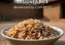 डिजाइनर राइस: डायबिटीज और कुपोषण के खिलाफ भारत की नई क्रांति