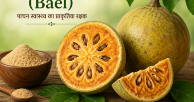 बेल (Bael): कब्ज से IBS तक, पेट के रोगों का अचूक आयुर्वेदिक समाधान | आरोग्य वाटिका
