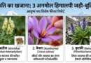 Himalayan Herbs Atees Saffron Kutki