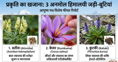 Himalayan Herbs Atees Saffron Kutki