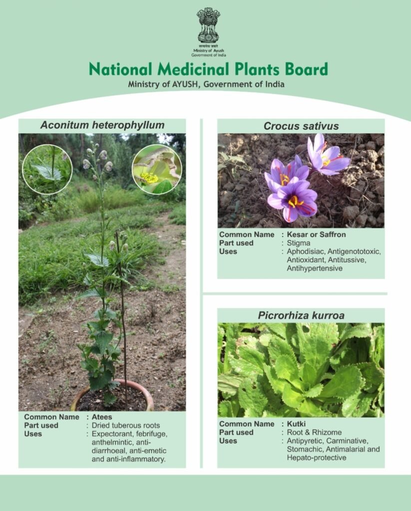 National Medicinal Plants Board