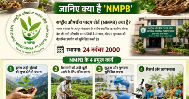 राष्ट्रीय औषधीय पादप बोर्ड (NMPB) क्या है? कार्य और महत्व