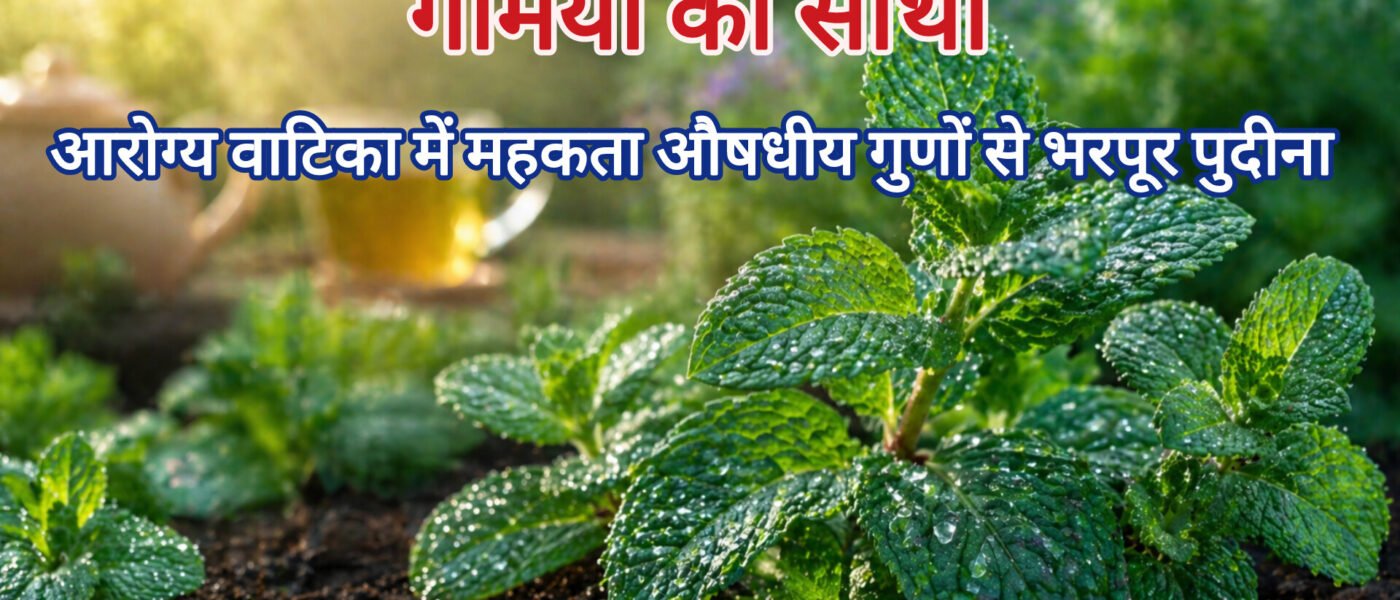पुदीना (Mint): 10 चमत्कारी आयुर्वेदिक प्रयोग | आरोग्य वाटिका