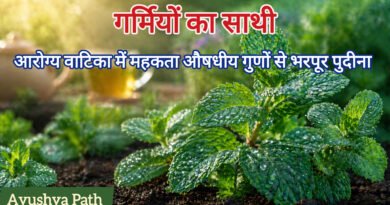 पुदीना (Mint): 10 चमत्कारी आयुर्वेदिक प्रयोग | आरोग्य वाटिका
