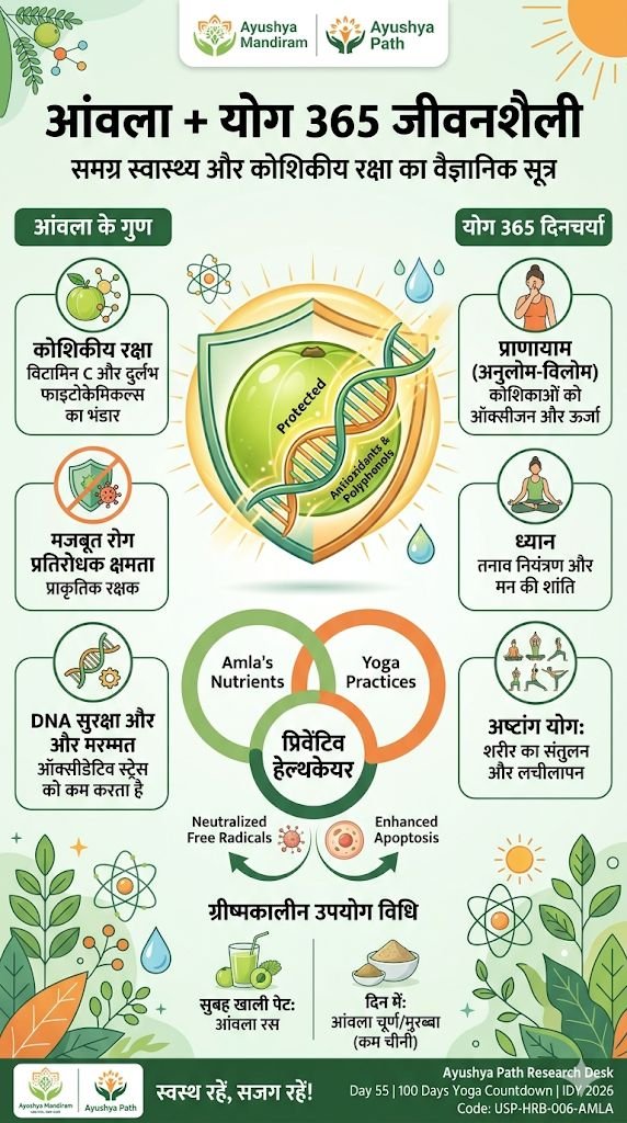 आंवला और योग 365 जीवनशैली इन्फोग्राफिक - आयुष्य पथ