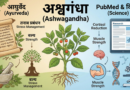 अश्वगंधा: टीबी (TB) के विरुद्ध आयुर्वेद का इम्यूनोथेरेपी अस्त्र | आयुष्य पथ