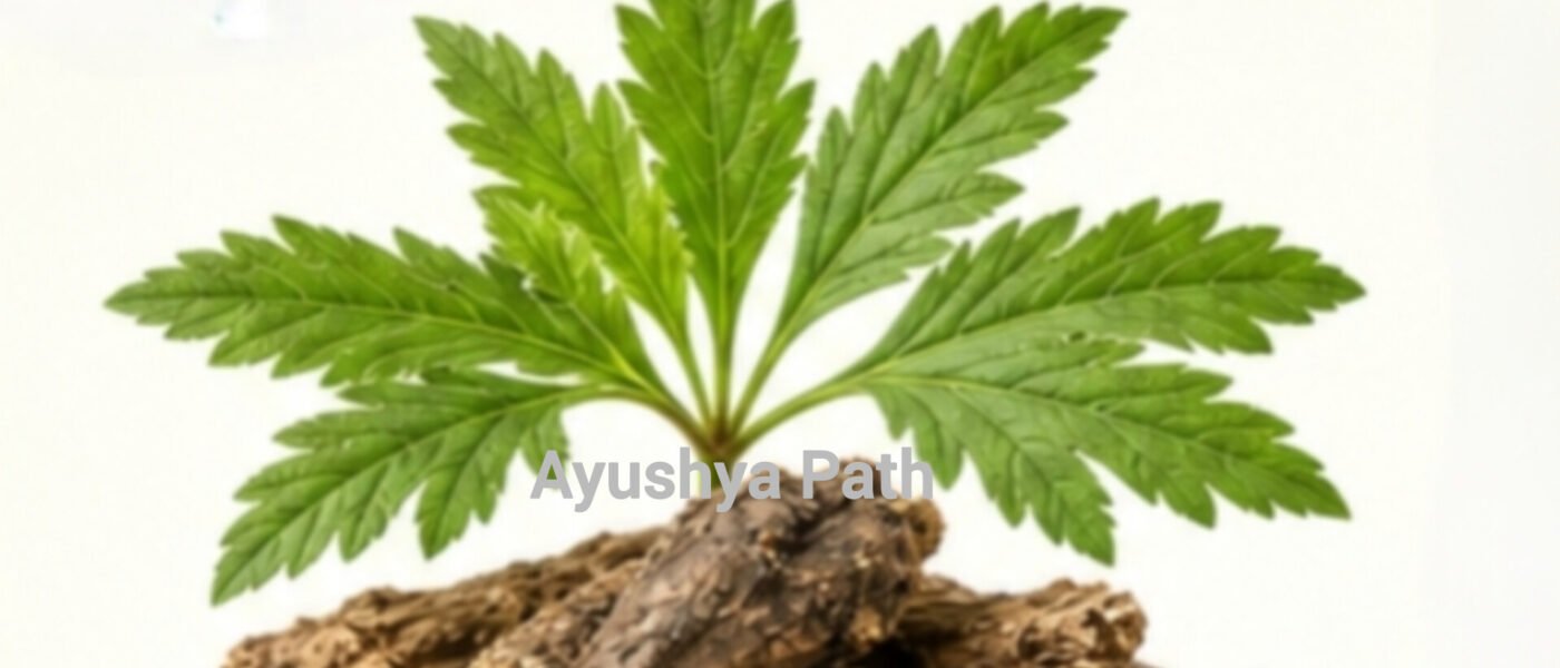 अतिविषा (अतीस): बाल-रोग और पाचन के लिए प्राकृतिक संजीवनी | आयुष्य पथ