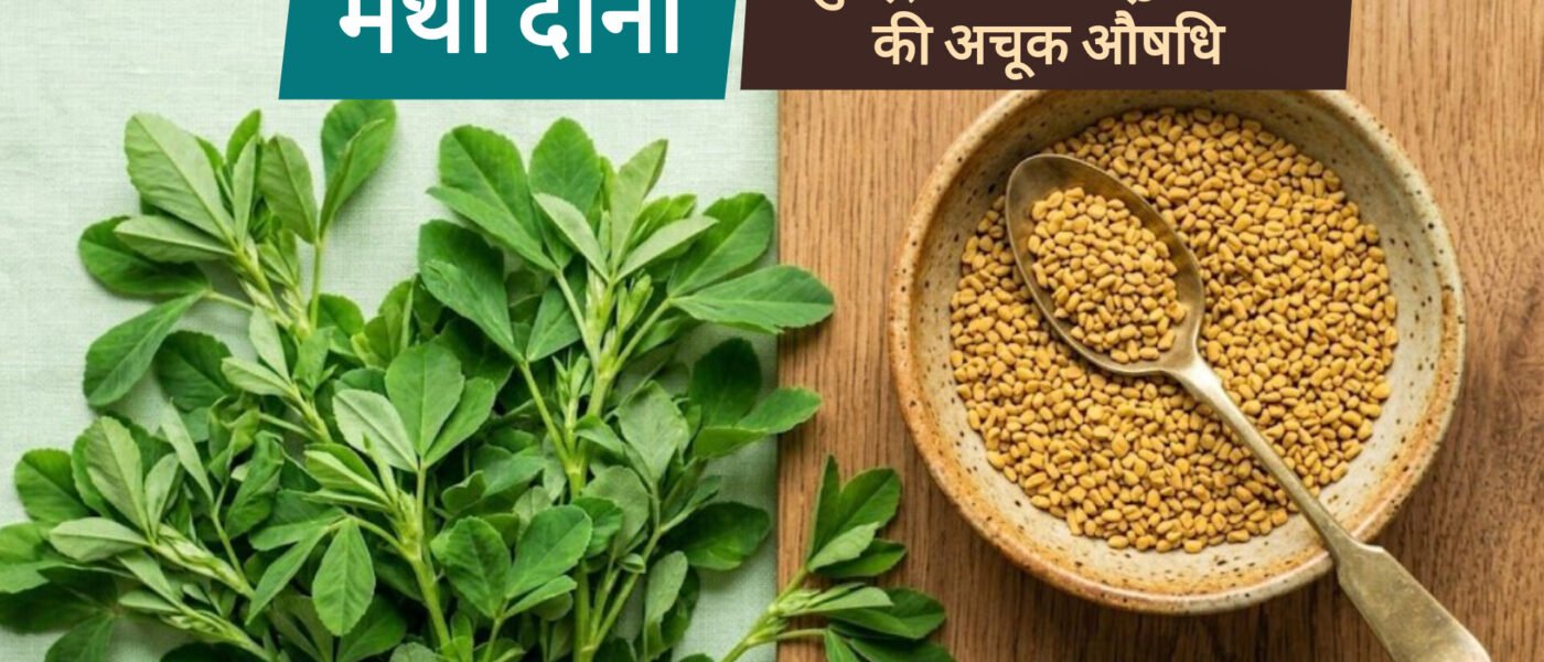 मेथी दाना के 6 चमत्कारी फायदे: मधुमेह, वात और हृदय रोगों की अचूक औषधि