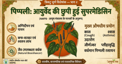 पिप्पली : आयुर्वेद की छुपी हुई सुपरमेडिसिन
