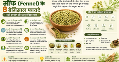 सौंफ (Fennel) के 8 बेमिसाल फायदे, सही उपयोग और आयुर्वेदिक लाभ
