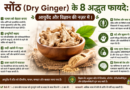 सोंठ (Dry Ginger) के 8 अद्भुत फायदे: आयुर्वेद और विज्ञान की नज़र में | Ayushya Path