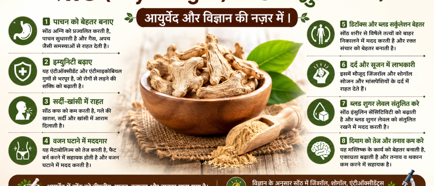 सोंठ (Dry Ginger) के 8 अद्भुत फायदे: आयुर्वेद और विज्ञान की नज़र में | Ayushya Path