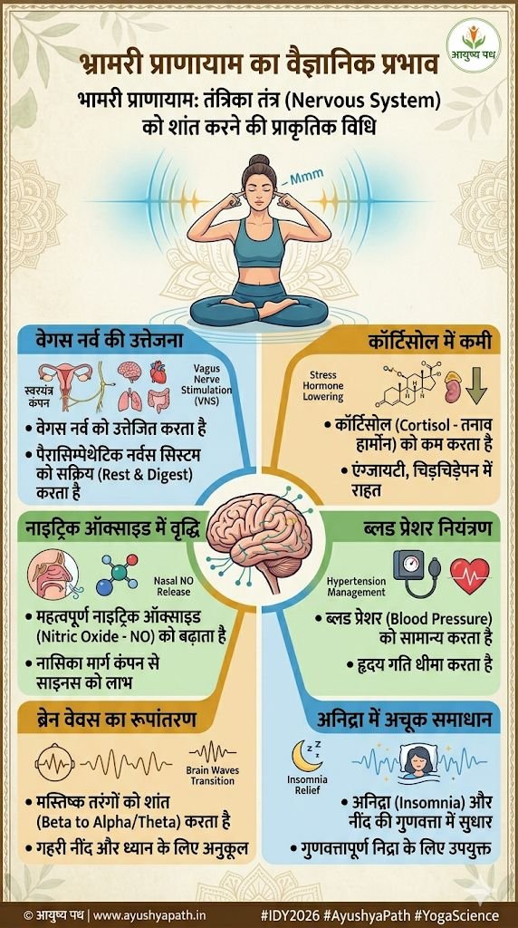 भ्रामरी प्राणायाम का वैज्ञानिक प्रभाव