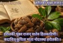 हरड़ (Terminalia chebula): रोगों की संजीवनी और वैज्ञानिक फायदे | आयुष्य पथ