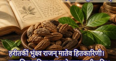 Terminalia chebula preventive medicine