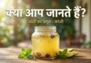 ayurvedic kanji natural probiotic summer drink