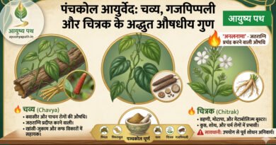 panchakol chavya gajapippali chitrak benefits