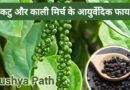 त्रिकटु और काली मिर्च (मरिच) के आयुर्वेदिक फायदे | Ayushya Path