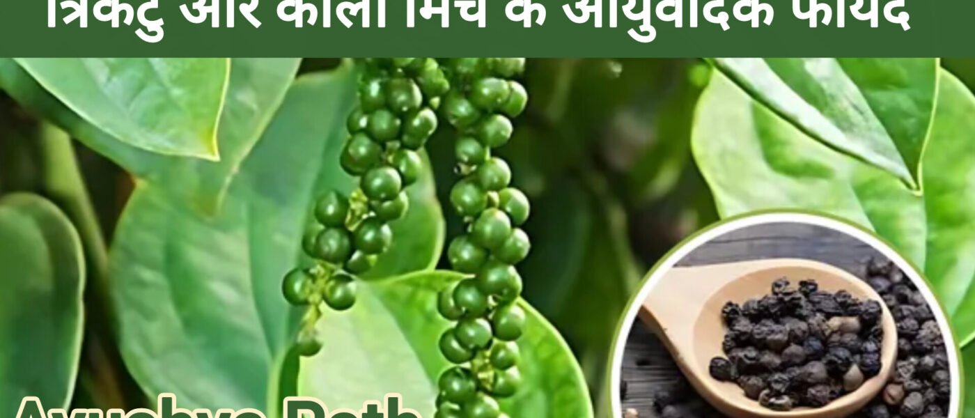 त्रिकटु और काली मिर्च (मरिच) के आयुर्वेदिक फायदे | Ayushya Path