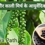 त्रिकटु और काली मिर्च (मरिच) के आयुर्वेदिक फायदे | Ayushya Path