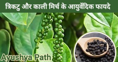 त्रिकटु और काली मिर्च (मरिच) के आयुर्वेदिक फायदे | Ayushya Path