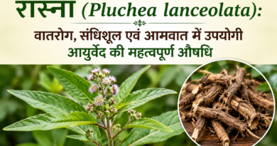 गठिया और जोड़ों के दर्द से हैं परेशान? अपनाएं महर्षि चरक द्वारा बताई गई यह अचूक औषधि 'रास्ना'!