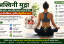 अश्विनी मुद्रा: बवासीर, कब्ज, पेल्विक फ्लोर कमजोरी और प्रजनन समस्याओं के लिए वरदान, जानिए वैज्ञानिक आधार और अभ्यास विधि