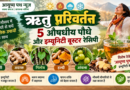 ऋतु परिवर्तन: 5 औषधीय पौधे और इम्यूनिटी बूस्टर रेसिपी | आयुष्य पथ न्यूज़