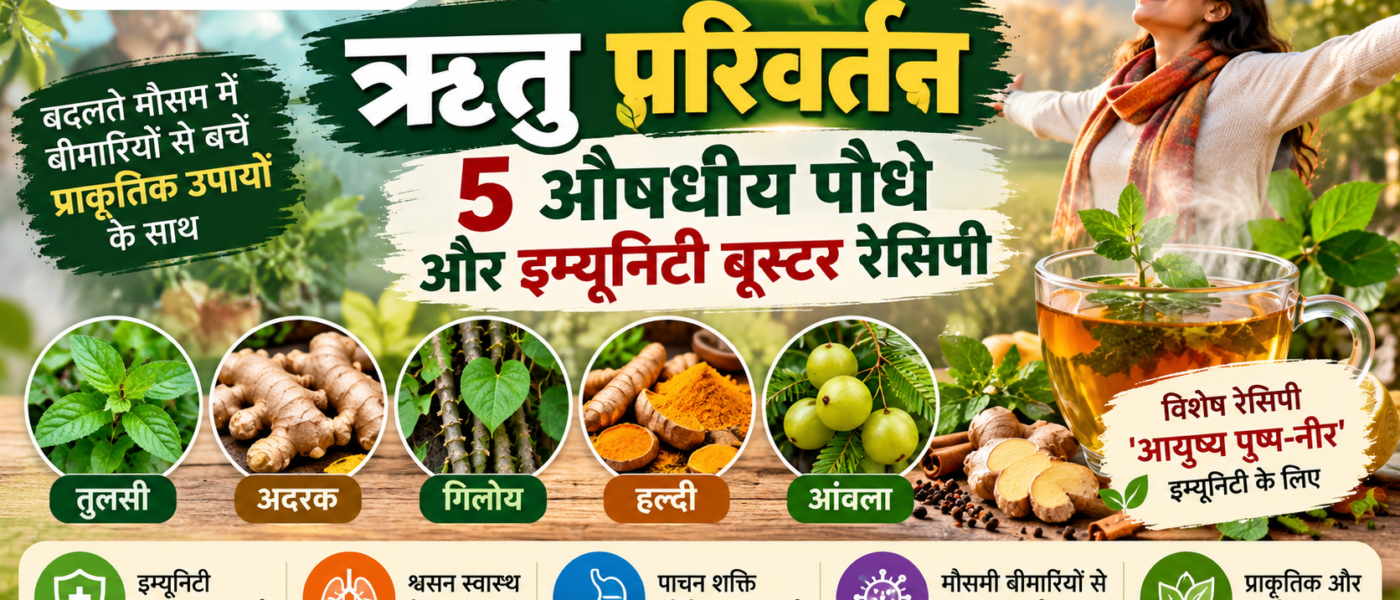 ऋतु परिवर्तन: 5 औषधीय पौधे और इम्यूनिटी बूस्टर रेसिपी | आयुष्य पथ न्यूज़
