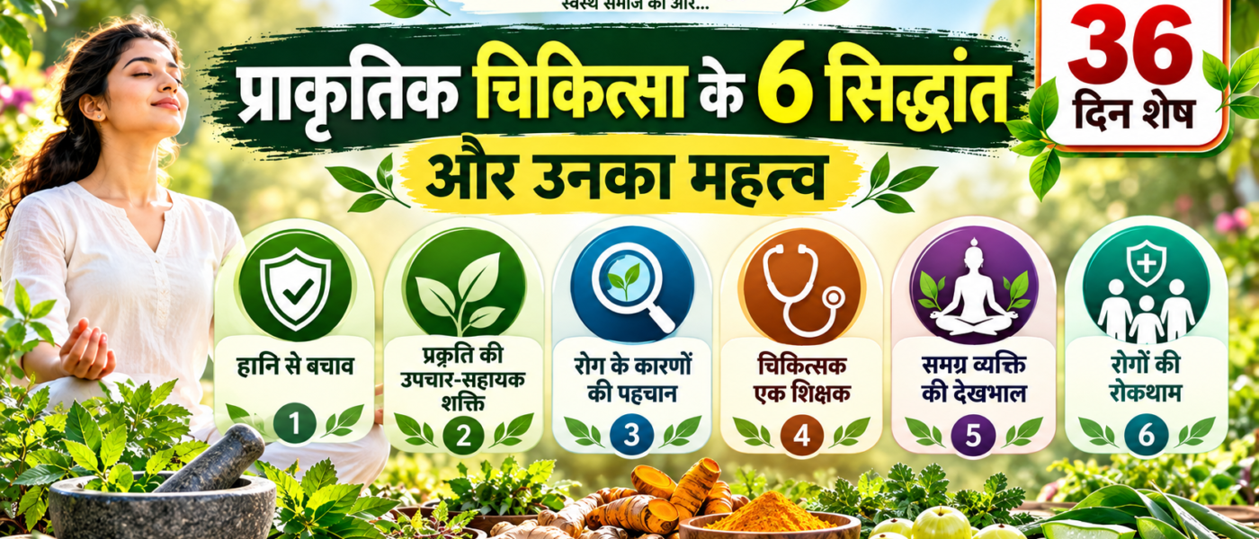 प्राकृतिक चिकित्सा दिवस 2026